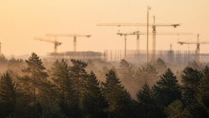 Baukräne über einem Brandenburger Kiefernwald im Morgennebel